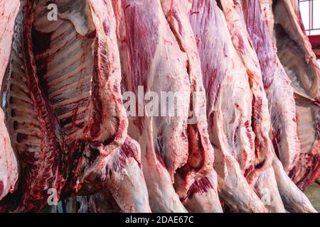 Primo piano industria della carne, carni appese al macello. Foto Stock