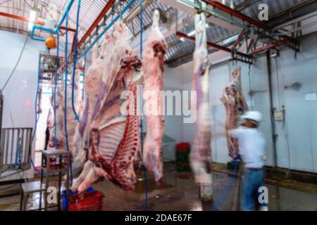 Macellai offuscati lavora in un macello, tagli di carne freschi e impiccati a gancio in un macello, industria della carne Foto Stock