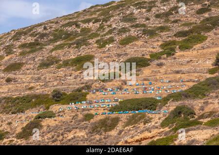 Coloratissimi alveari in legno sul versante montano nel nord di iOS. Grecia. Foto Stock