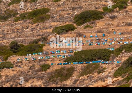 Coloratissimi alveari in legno sul versante montano nel nord di iOS. Grecia. Foto Stock