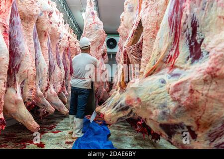 Macellai lavora nell'industria della carne al macello, carni appese nel magazzino frigorifero. Tagliatelle tagliate e impiccate a gancio in un macello. Foto Stock