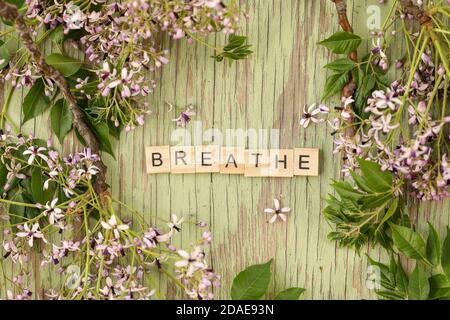 Un bordo di vari fiori secchi che circondano l'ortografia di lettere di legno la parola respira Foto Stock