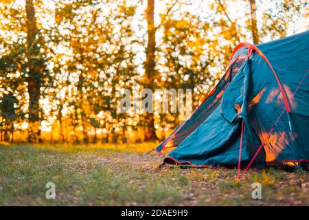 Bellissimi raggi del sole attraverso le foglie della foresta, alberi. Primavera estate natura prato paesaggio offuscato. Mattina ombre e luci, escursioni, ricreative Foto Stock