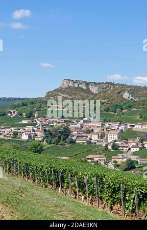 Villaggio di Solutre-Pouilly e vigneti Chardonnay sotto il Solutré Roccia Foto Stock