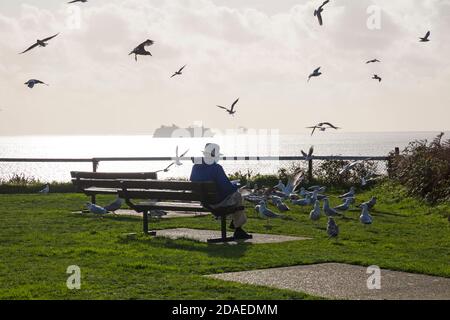 Bournemouth, Dorset UK. 12 novembre 2020. Tempo nel Regno Unito: Uomo seduto in panchina godendo del sole e guardando i gabbiani che si abbondano per mangiare, mentre le navi da crociera sono ancorate nella baia in una calda e soleggiata mattina autunnale a Bournemouth durante il due blocco Covid-19. Credit: Carolyn Jenkins/Alamy Live News Foto Stock