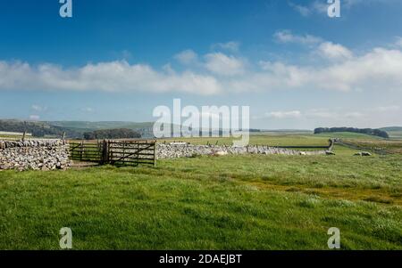 Paesaggio del Regno Unito: Bel tempo a Malham Moor che si affaccia su Malham Tarn e Malham Crag, Yorkshire Dales National Park, North Yorkshire, Inghilterra Foto Stock