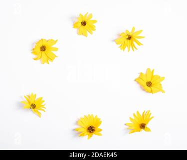Corona di fiori gialli su sfondo bianco, spazio di copia piatto Foto Stock