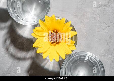 Fila di acqua fresca chiara bevanda con fiore giallo in vetro su fondo di cemento, composizione creativa dura luce, vista dall'alto Foto Stock