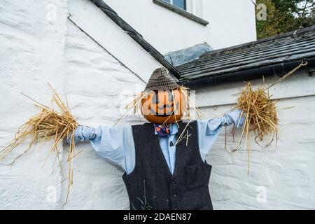 Uno spaventapasseri con una testa di zucca vestita per le celebrazioni di Halloween a Newquay in Cornovaglia. Foto Stock