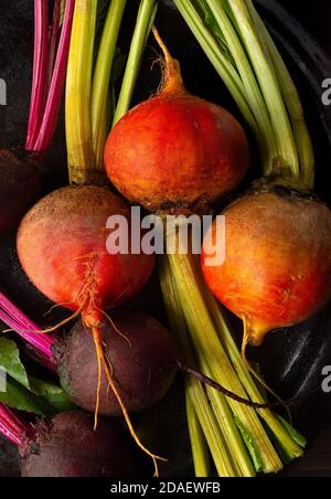 Vista ravvicinata delle fresche barbabietole dorate e rosse Foto Stock