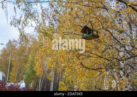 Alimentatore di uccelli, casa per volare bei pulcini su un albero appende sullo sfondo della foresta, betulla foglie luminose contro il cielo Foto Stock