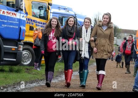 Ayr Agricultural Cattle Show, Ayrshire Scotland. Regno Unito tenuto all'ippodromo di Ayr. La mostra annuale comprende bestiame e concorsi. Un evento annuale molto atteso per la comunità agricola di riunirsi. Lo spettacolo si chiude con una mostra e una processione di animali e bestie premiati, tra cui cavalli, bestiame, capra, pecore con il premio finale del campione di campioni Foto Stock