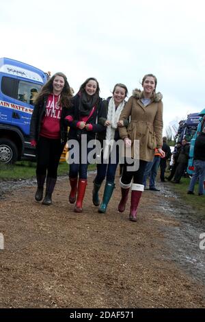 Ayr Agricultural Cattle Show, Ayrshire Scotland. Regno Unito tenuto all'ippodromo di Ayr. La mostra annuale comprende bestiame e concorsi. Un evento annuale molto atteso per la comunità agricola di riunirsi. Lo spettacolo si chiude con una mostra e una processione di animali e bestie premiati, tra cui cavalli, bestiame, capra, pecore con il premio finale del campione di campioni Foto Stock