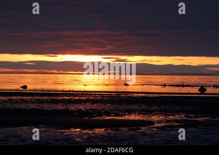 Ayr, Ayrshire, Scozia, Regno Unito. Sole che sorge sopra l'isola di Arran come vista rom Ayr Beach con sabbia bagnata come la marea si spegne Foto Stock