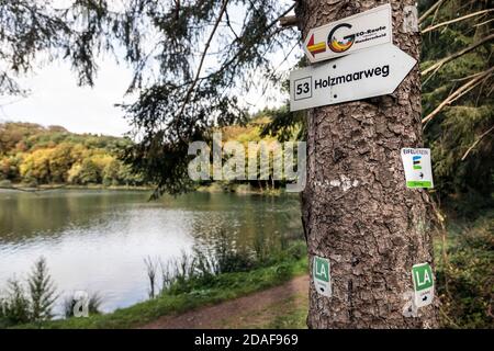 Il lago Holzmaar nel Vulkaneifel quasi completamente circondato da foresta densa Foto Stock