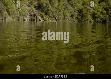 Vista dell'acqua con tonalità verdastre che riflettono una montagna struttura con alberi frondosi dall'interno di un lago Foto Stock