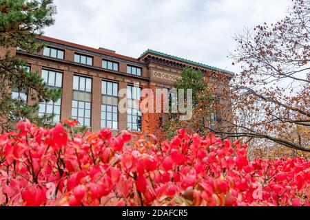 ANN ARBOR, MI, USA - 8 NOVEMBRE: Harlan Hatcher Graduate Library l'8 novembre 2020 presso l'Università del Michigan ad Ann Arbor, Michigan. Foto Stock