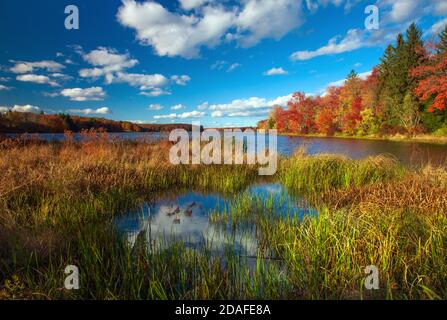 Brady's Lake, un lago ricreativo sulla Pennsylvania state Game Lands, in autunno nelle Pocono Mountains. Foto Stock