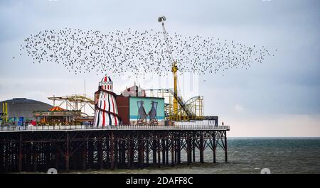 Brighton UK 12 novembre 2020 - gli Starlings passano attraverso il loro murmination quotidiano sopra il molo di Brighton Palace mentre una giornata di sole si conclude con un tramonto subded: Credit Simon Dack / Alamy Live News Foto Stock