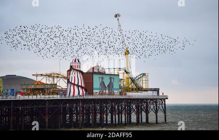 Brighton UK 12 novembre 2020 - gli Starlings passano attraverso il loro murmination quotidiano sopra il molo di Brighton Palace mentre una giornata di sole si conclude con un tramonto subded: Credit Simon Dack / Alamy Live News Foto Stock