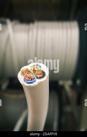 Primo piano del filo trefolo in rame trifase a 4 conduttori in sezione sullo sfondo di una bobina con un filo bianco. Verticale Foto Stock