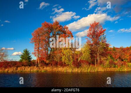 Brady's Lake, un lago ricreativo sulla Pennsylvania state Game Lands, in autunno nelle Pocono Mountains. Foto Stock