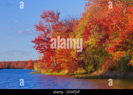 Brady's Lake, un lago ricreativo sulla Pennsylvania state Game Lands, in autunno nelle Pocono Mountains. Foto Stock