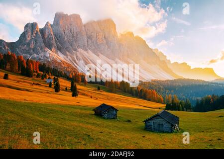 Bellissimi colori autunnali ai piedi dei Monti Odle sullo sfondo dei Monti Seceda al tramonto nelle Dolomiti, Trentino Alto Adige, Val Foto Stock