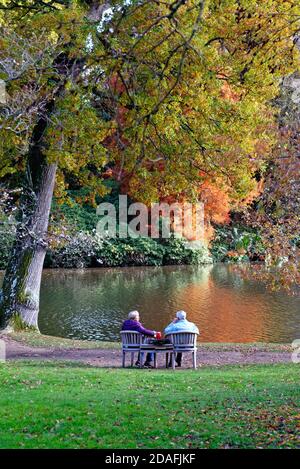 Una vista posteriore di una coppia anziana seduta su una panchina vicino ad un lago con colorati alberi autunnali sullo sfondo, Sussex UK Foto Stock
