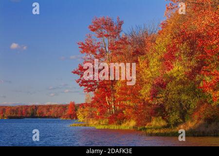 Brady's Lake, un lago ricreativo sulla Pennsylvania state Game Lands, in autunno nelle Pocono Mountains. Foto Stock