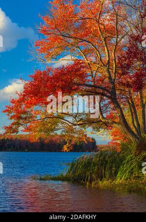 Brady's Lake, un lago ricreativo sulla Pennsylvania state Game Lands, in autunno nelle Pocono Mountains. Foto Stock