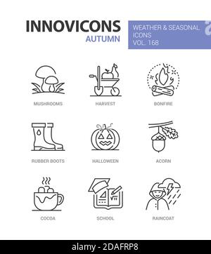 Autunno - Set di icone di stile moderno Illustrazione Vettoriale