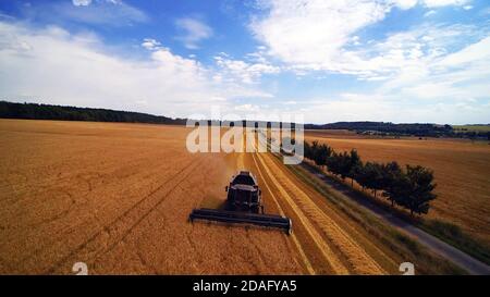 Vista dall'alto della macchina della mietitrebbia, raccolta del campo di grano nella soleggiata giornata estiva Foto Stock