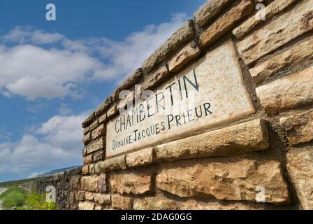 Targa di vigneto Chambertin di Domaine Jacques Prieur Gevrey-Chambertin, Côte d'Or, Francia Foto Stock