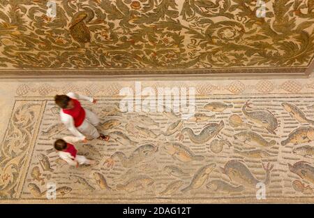 All'interno del Museo Nazionale Bardo, pavimento e soffitto coperti di mosaico, Tunisi, Tunisia Foto Stock