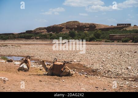 Ouarzazate è una città a sud delle montagne dell'Alto Atlante del Marocco, conosciuta come una porta d'ingresso al deserto del Sahara, in Africa Foto Stock