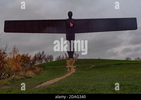 L'Angelo del Nord con il papavero della Legione Britannica a Gateshead, Nord Est dell'Inghilterra. Il papavero grande può essere visto sulla statua simbolo di Anthony Gormley conosciuta come la porta d'ingresso al Nord Est dell'Inghilterra. 11 novembre 2020. Gateshead, Regno Unito. Foto Stock