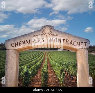 Chevaliers-Montrachet arco di pietra ingresso incorniciante Premier Cru Borgogna Chardonnay vigneto Puligny-Montrachet, Côte d'Or, Francia. Côte de Beaune Foto Stock