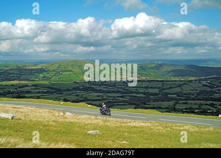 Brecon Beacons National Park motociclista su strada aperta alla velocità guida bestiame non recintato pascolo & verde colline paesaggio di campagna Oltre il Regno Unito Foto Stock