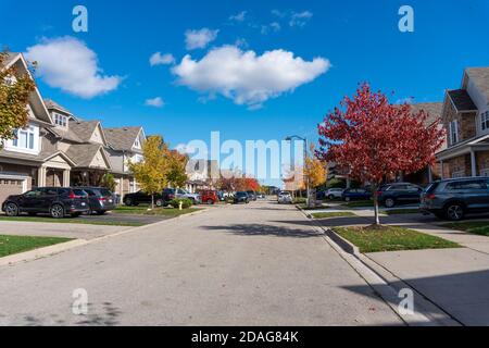 Giovani aceri sono stati piantati in città, in nuovi quartieri, e per l'autunno hanno dipinto la città con colori magici Foto Stock