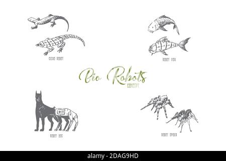 BIO robots - robot pesce, cane, ragno e gecko vettore Concept Set Illustrazione Vettoriale