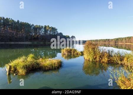 panorama di magnifico paesaggio di ampio lago nella foresta di raffinerie Foto Stock