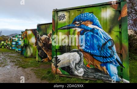 Bizzarre opere d'arte della fauna selvatica urbana del kingfisher sui contenitori di spedizione, Calders Community Park, Wester Hailes, Edimburgo, Scozia, Regno Unito Foto Stock