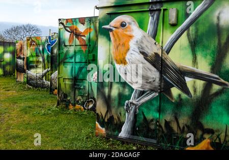 Bizzarre opere d'arte della fauna selvatica urbana di robin su contenitori di spedizione, Calders Community Park, Wester Hailes, Edimburgo, Scozia, Regno Unito Foto Stock