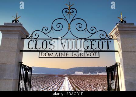 Clos de Vougeot neve inverno imponente cancello aperto ingresso al vigneto Grand Cru Clos Vougeot, in inverno sotto la neve leggera, Vougeot, Côte d'Or, Francia. Foto Stock