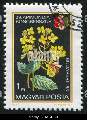 UNGHERIA - CIRCA 1983: Francobollo stampato dall'Ungheria, mostra fiore, circa 1983 Foto Stock