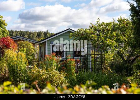 Piccola cabina o capanna in assegnazione Kumpua o giardino comunitario a Helsinki, Finlandia Foto Stock