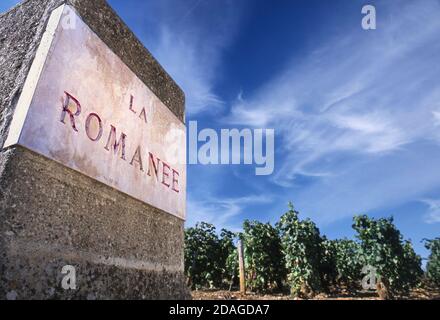 La Romanée vigneto confine pietra targa marcatore vino Grand Cru Uve Pinot Nero rinomato vino rosso la Romanée vigneto In Vosne Romanée Côte de Nuits Borgogna Francia Foto Stock