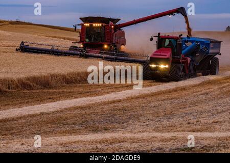 La mietitrebbia CaseIH sta scaricando la granella sul carrello granella Kinze trainato da Un trattore quadtrac all'imbrunire nella regione di Palouse Washington Foto Stock