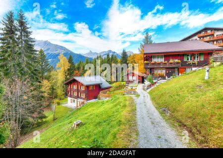 Fantastica vista autunnale dei tradizionali chalet svizzeri nel villaggio di Wengen. Pittoresco villaggio alpino Wengen.. Ubicazione: Wengen, Berner Oberland, Foto Stock